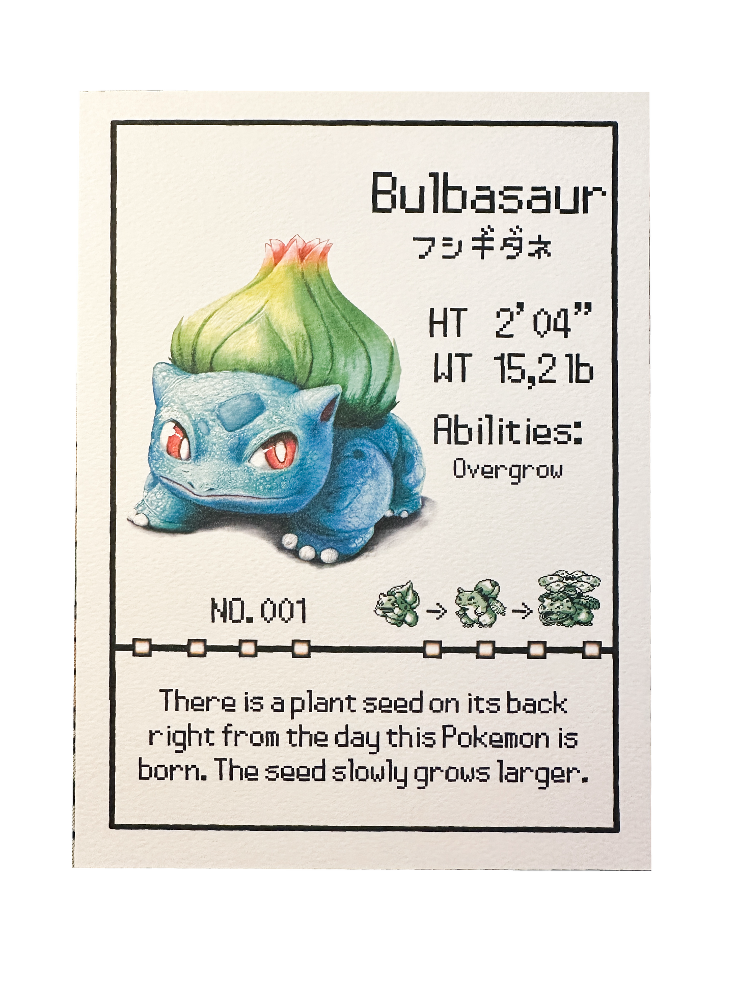 Bulbasaur Pokedex entry print A5